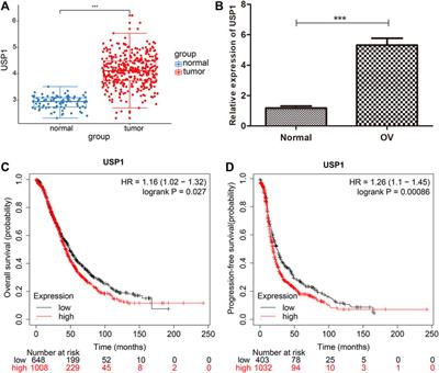 ML323 suppresses the progression of ovarian cancer via regulating USP1-mediated cell cycle